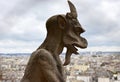 Gargoyles or Chimeras at the Gallery of Chimere. Notre-Dame Cathedral. Paris, France.