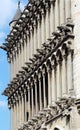 Gargoyles of the Church of Notre-Dame, Dijon, France