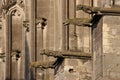 Gargoyles decorate the facade of Saint-Gatien cathedral in Tours (France)