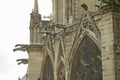 Gargoyles on the exterior of the Notre Dame Cathedral, Paris, France