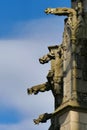 Gargoyles on the facade of the Saint-Etienne cathedral in Limoges