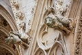 Gargoyles on the facade of the St. Jean cathedral, Lyon, France Royalty Free Stock Photo