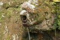 Gargoyles with holy water in the complex of royal tombs of the Udayan dynasty. Ancient royal tombs at Gunung Kawi Temple. Funeral