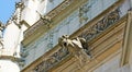 The gargoyles of Minster Cathedral