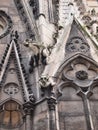 Gargoyles on Notre Dame Cathedral, Paris, France Royalty Free Stock Photo