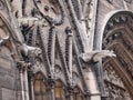 Gargoyles on Notre Dame Cathedral, Paris, France Royalty Free Stock Photo