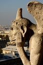 The Gargoyles of Notre Dame