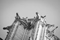 Gargoyles on Notre Dame de Paris Royalty Free Stock Photo