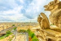 Gargoyles of Notre Dame cathedral Royalty Free Stock Photo