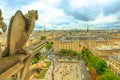 Gargoyles of Notre Dame cathedral