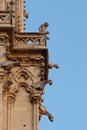 Gargoyles of Notre Dame, Paris, France Royalty Free Stock Photo