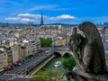 The Gargoyles of Notre Dame - Paris, France