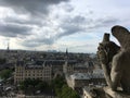 Gargoyles of the notredame