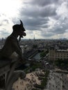 Gargoyles of the notredame Royalty Free Stock Photo