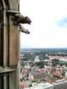 Gargoyles overlooking Ulm, Germany