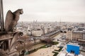 Gargoyles of Paris on Notre Dame Cathedral church Royalty Free Stock Photo