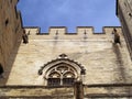 Gargoyles protecting The Popes' Palace in Avignon