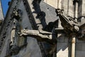 Gargoyles of the Saint-Cyr-et-Sainte-Julitte cathedral in Nevers