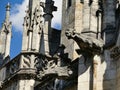 Gargoyles of the Saint-Cyr-et-Sainte-Julitte cathedral in Nevers