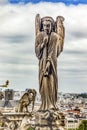 Gargoyles Statue Roof Notre Dame Church Before Fire Paris France