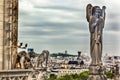 Gargoyles Statue Roof Notre Dame Church Before Fire Paris France