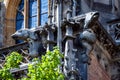 Gargoyles on Ulm Minster or Cathedral of Ulm city Germany