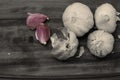 Garlic bulb and cloves on a wooden chopping board. Royalty Free Stock Photo