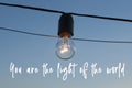 Garland glass bulb. You are the light of the world. Against the sky