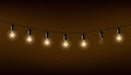 Vector garland of lamps on brown transparent background.