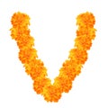 Garland of marigolds