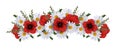 Garland of poppies, daisies and grass isolated on white