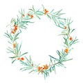 Garland with sea buckthorn.