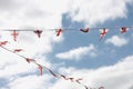 Garland of signal pennants