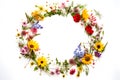 Garland from wildflowers on a background