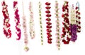 Garlands and flowers Royalty Free Stock Photo