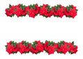 Garlands of poinsettia flowers on a white isolated background. Christmas decoration. Design elements Royalty Free Stock Photo