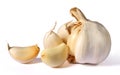 Garlic Royalty Free Stock Photo