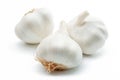 Garlic Royalty Free Stock Photo