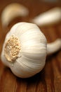 Garlic
