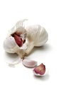 Garlic, alium sativum Royalty Free Stock Photo