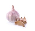 Garlic, Allium sativum, Alliaceae on white background