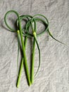 Garlic arrows