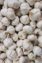 Garlic background