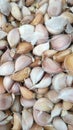 the garlic background abstract wallpaper. food, Royalty Free Stock Photo