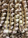 Garlic background Royalty Free Stock Photo