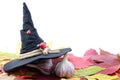 Garlic banishes the evil spirit on the autumn leaves