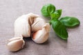 Garlic and basil, sitll life. Royalty Free Stock Photo