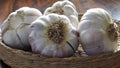 Garlic basket. Garlic bulb close up in basket on wooden table