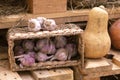 Garlic basket in farmer market store f