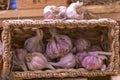 Garlic basket in farmer market store f